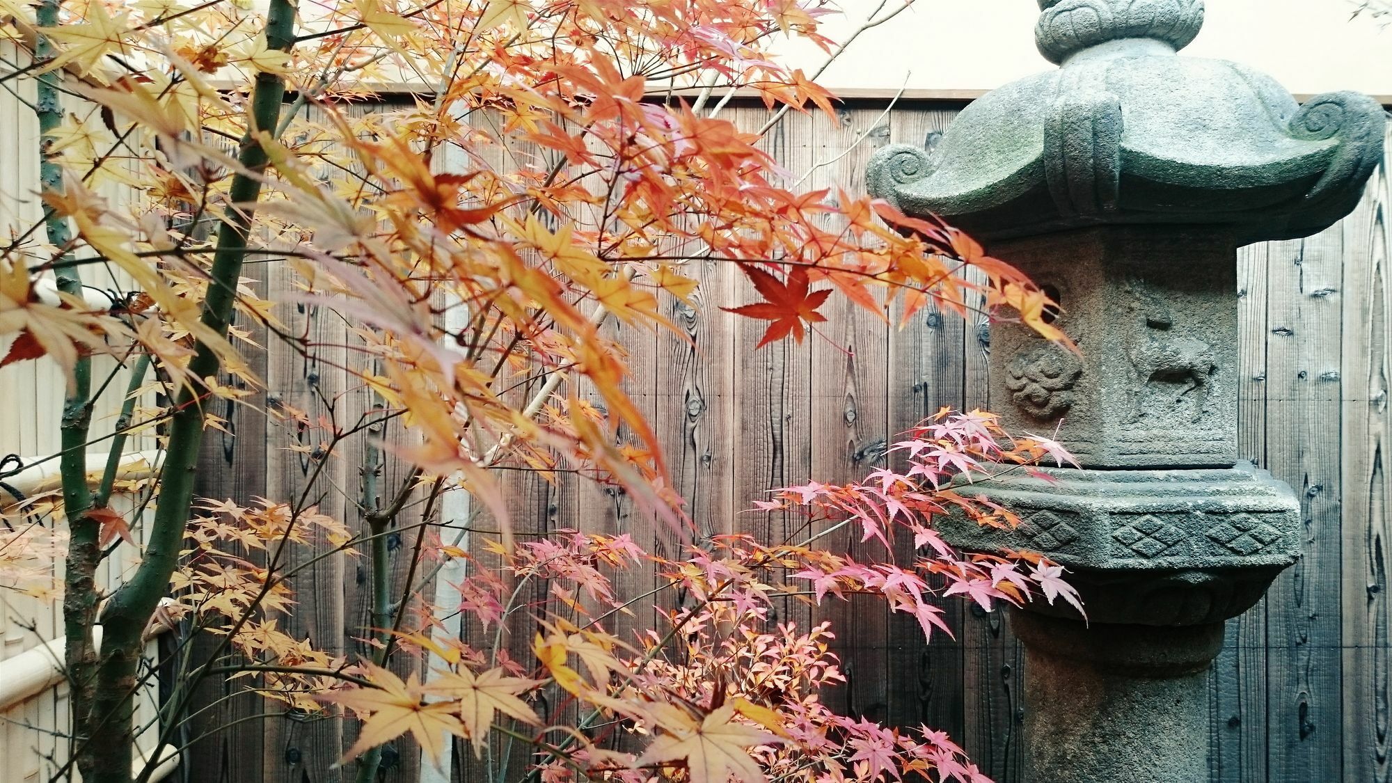 Guest House Bokuyado Kyoto Exterior photo